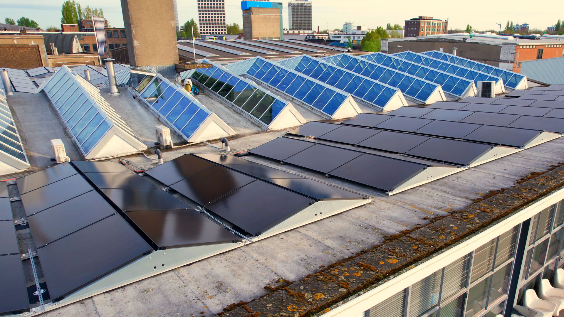 Commercial space of the green power harbor in the Netherlands