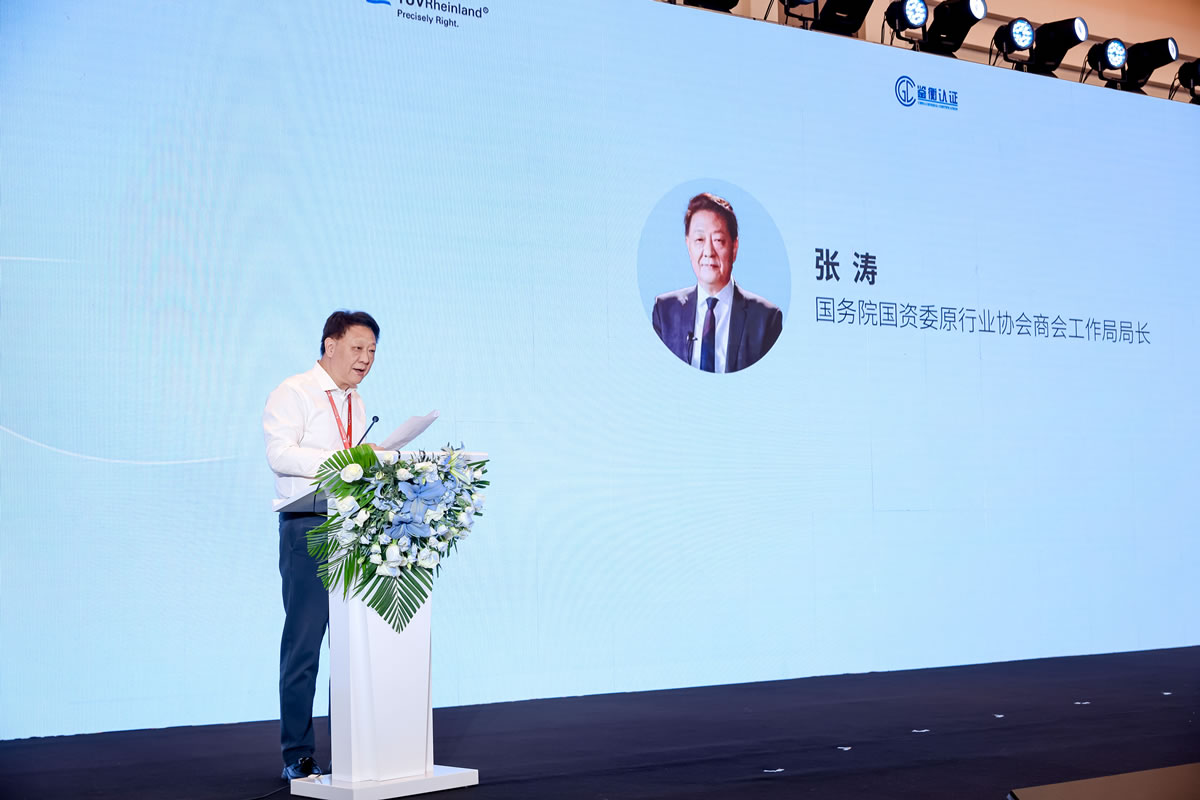 国务院国资委原行业协会商会工作局局长张涛