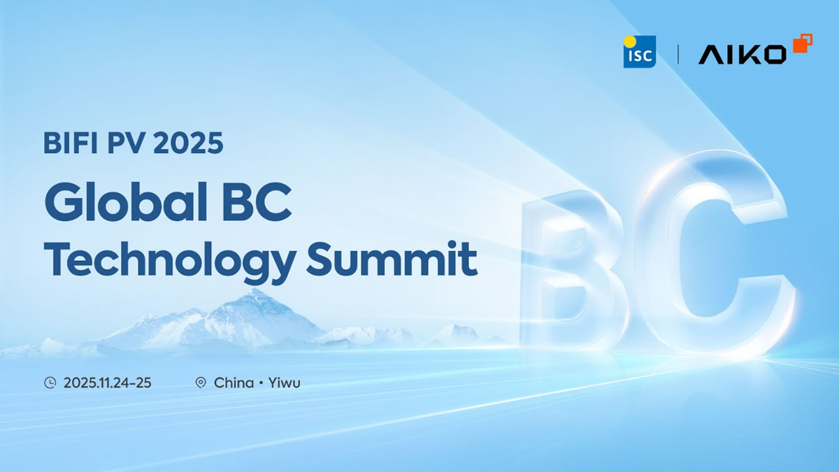 Bifi PV 2025