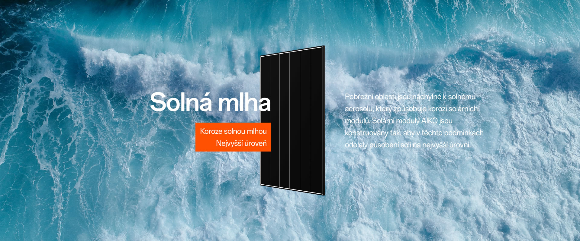 Solná mlha