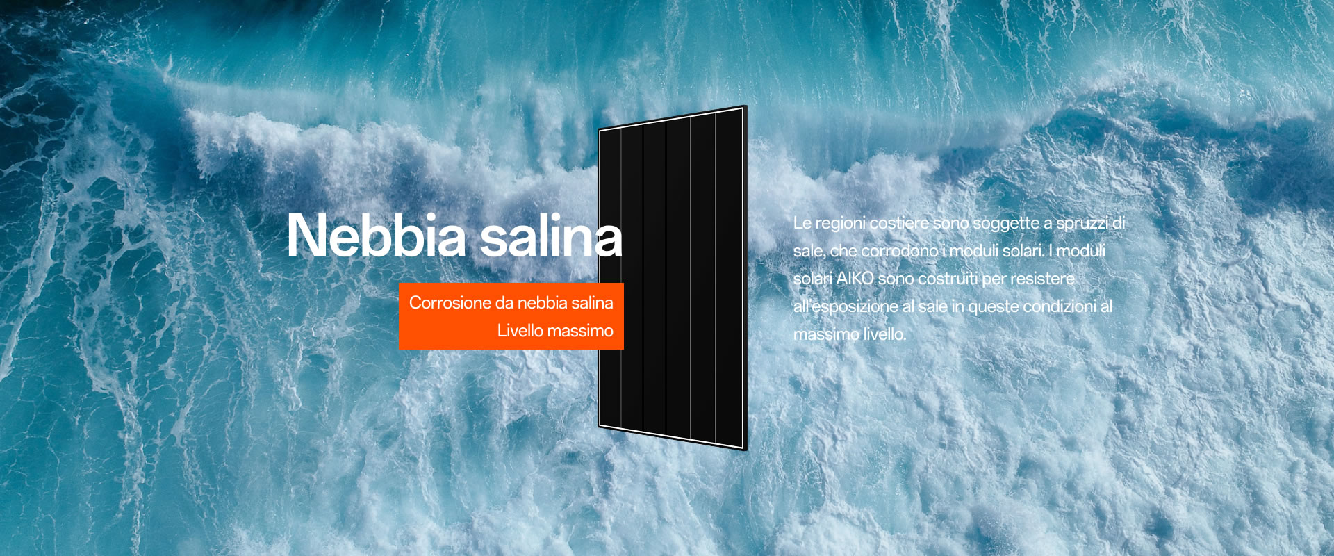 Nebbia salina