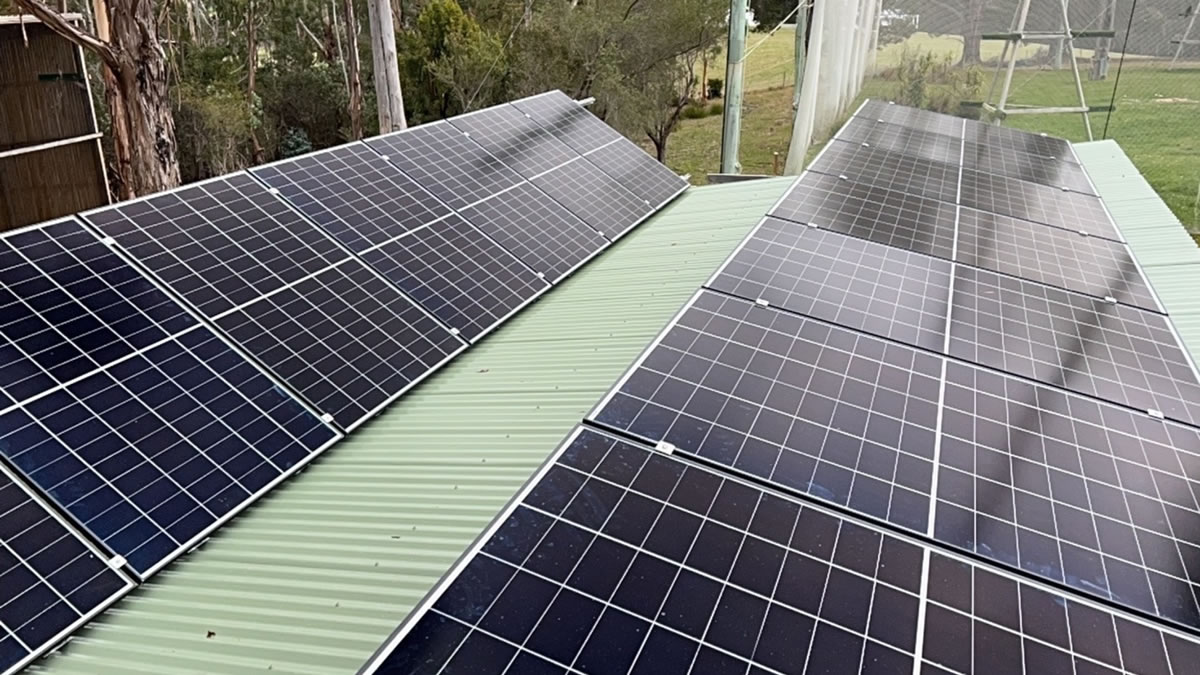 AIKO POWERS CONSERVATION EFFORTS AT TASMANIA'S RAPTOR REFUGE
