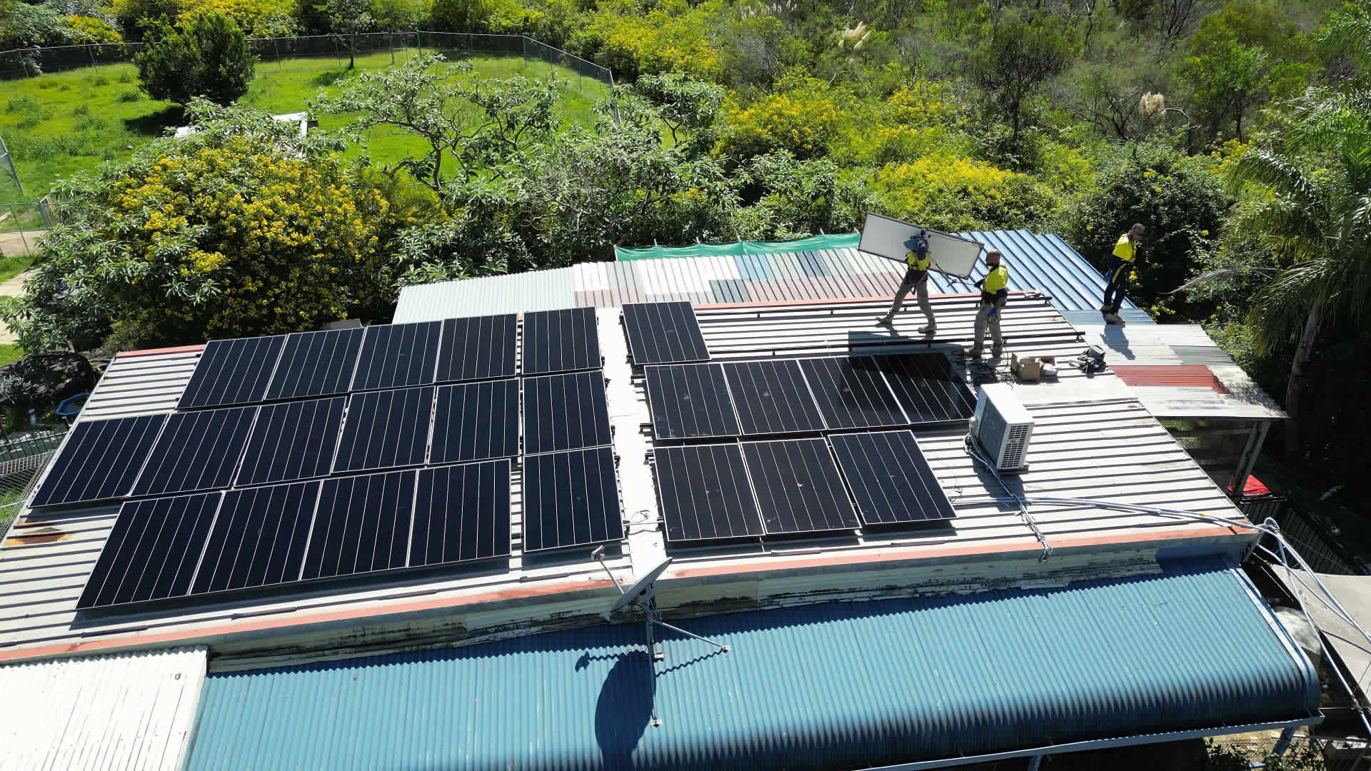 Monika's Doggie Rescue Charity Solar