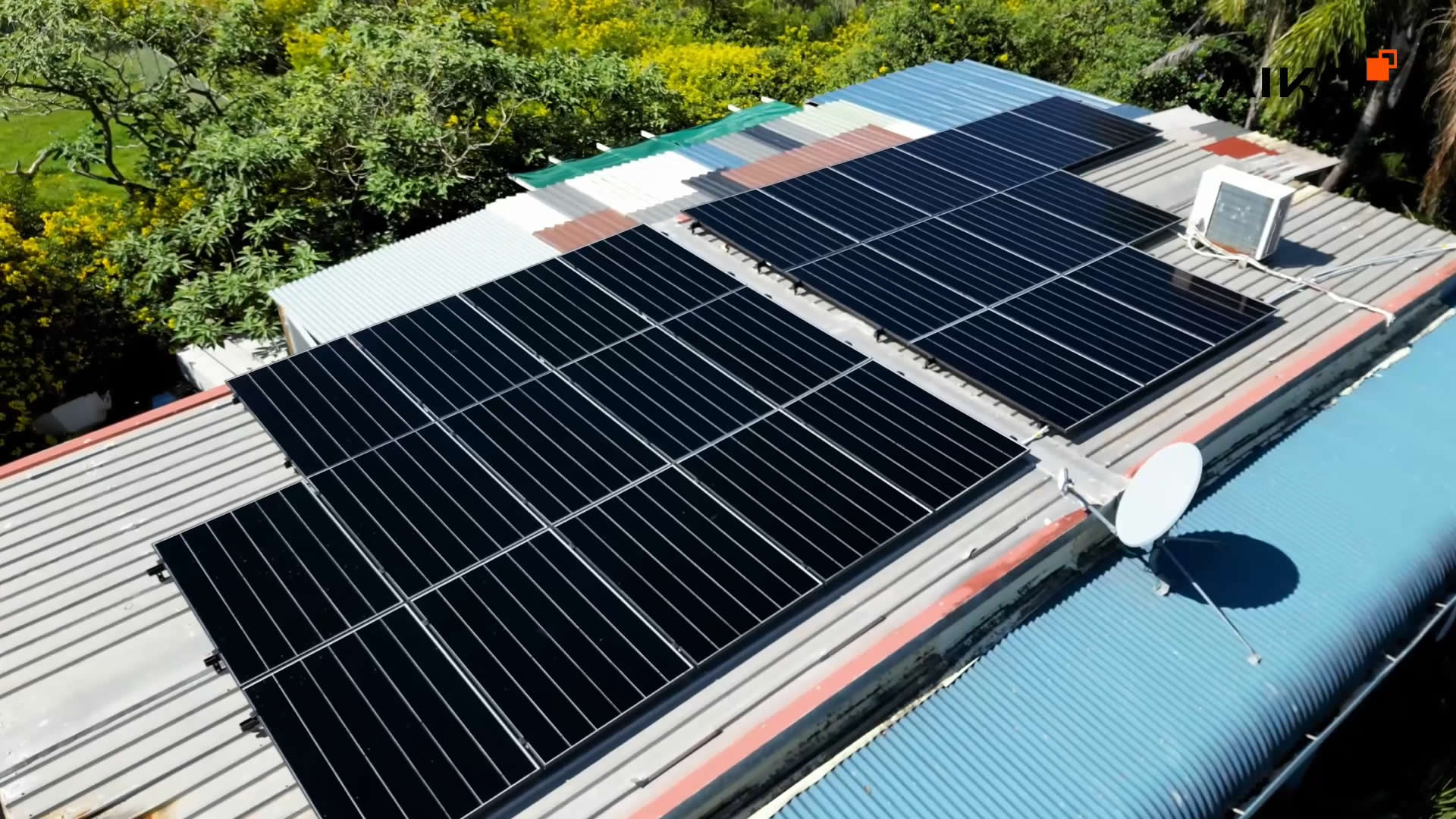 Monika's Doggie Rescue Charity Solar