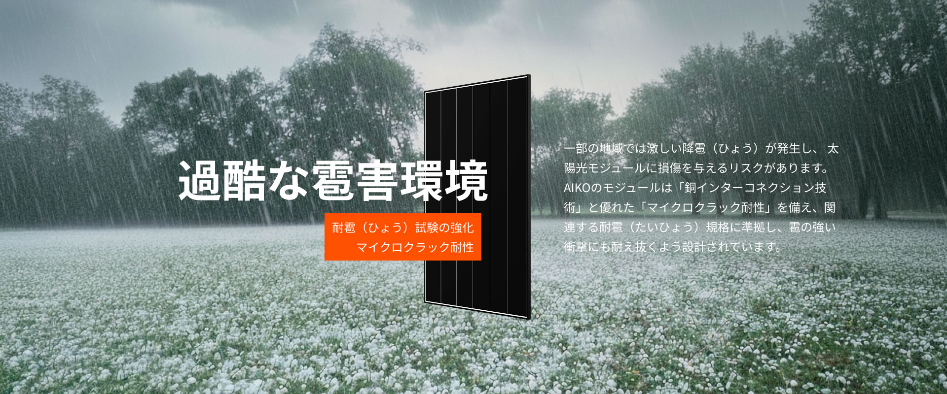 過酷な雹害環境